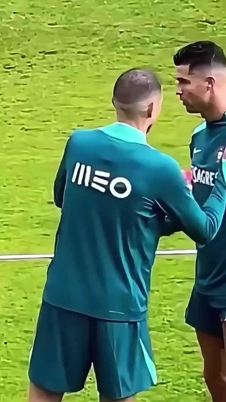 关于欧洲杯赛场惊现暴力冲突，球迷意见分歧的信息