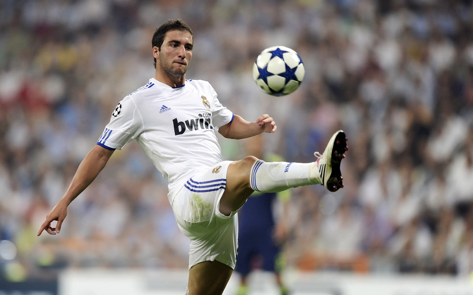 出色发挥引发热议！，穆古鲁扎在中国队比赛中刷新纪录观众掌声雷动